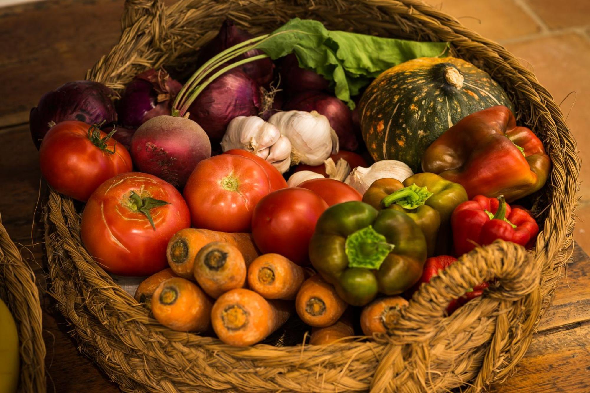 Altanure Almatere - Food Forest Boutique Stay Tavira Esterno foto